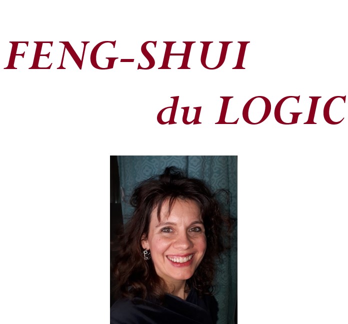 Feng-Shui du Logic